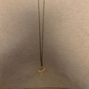 Wire wrapped shark tooth necklace